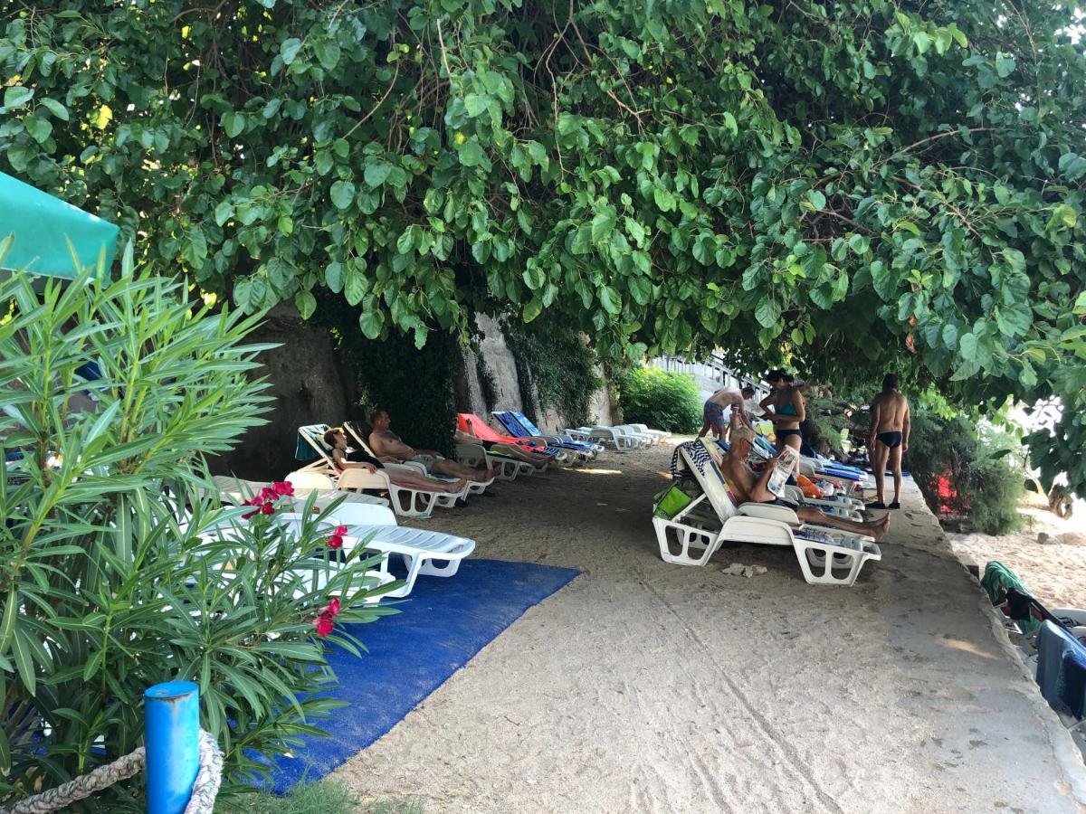 Danyja Apartments Sveti Filip i Jakov Ngoại thất bức ảnh